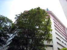 Blk 51 Lengkok Bahru (Bukit Merah), HDB 5 Rooms #12362